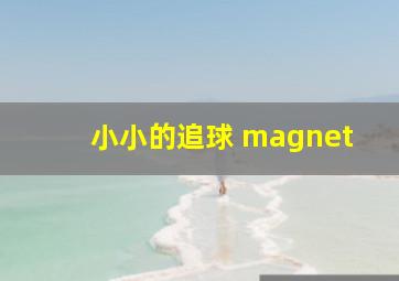 小小的追球 magnet